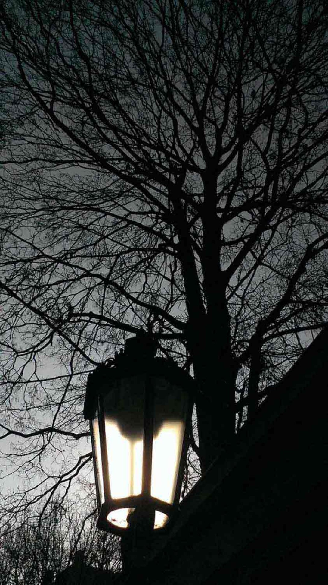 Farol encendido. Foto: Francis Sánchez