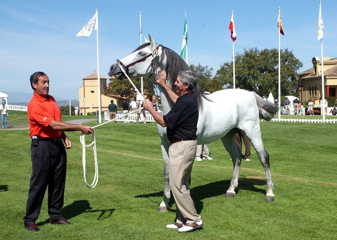 Leopoldo Fernández Pujals (derecha) con uno de sus caballos.