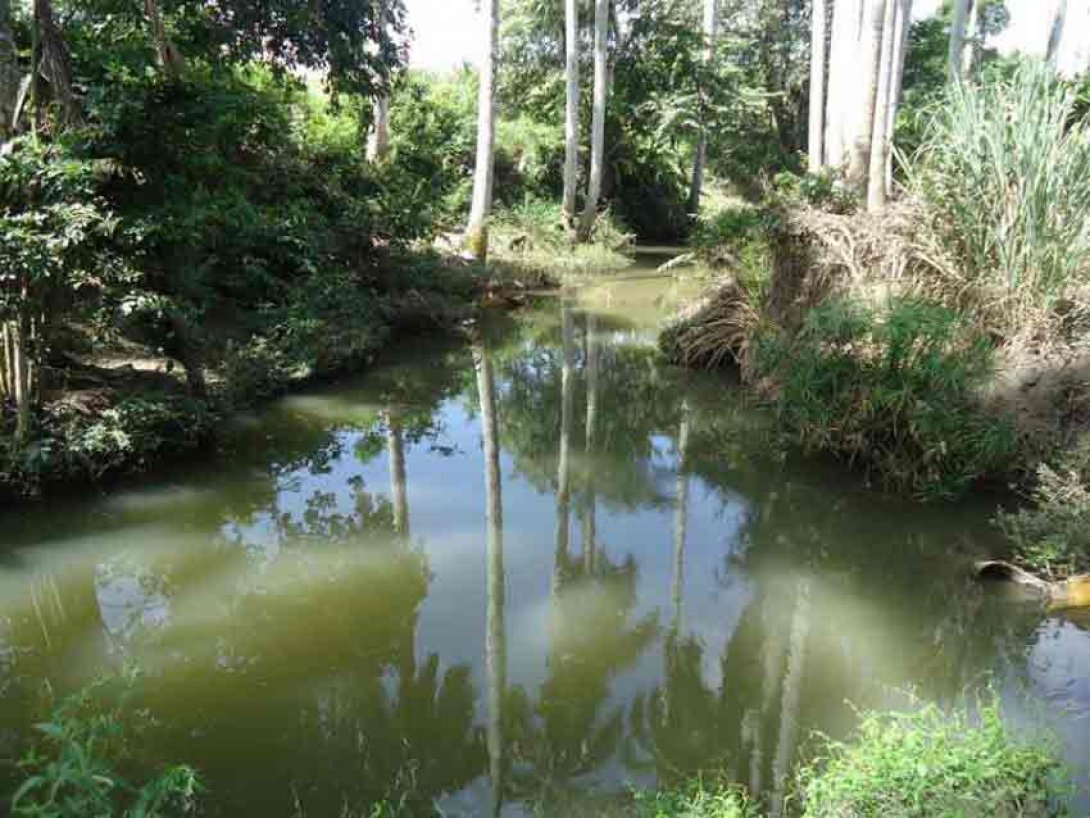 Charca del guije. Foto: Pedro Evelio Linares