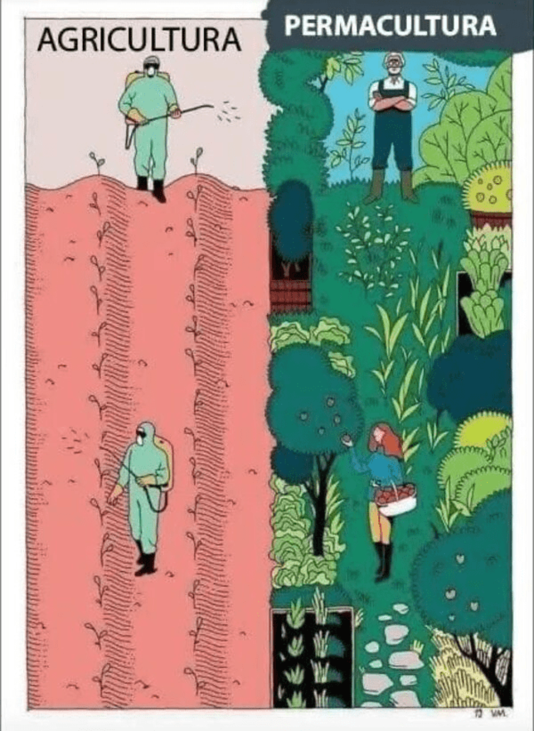 Ilustración sobre las diferencias entre la agricultura tradicional y la permacultura.