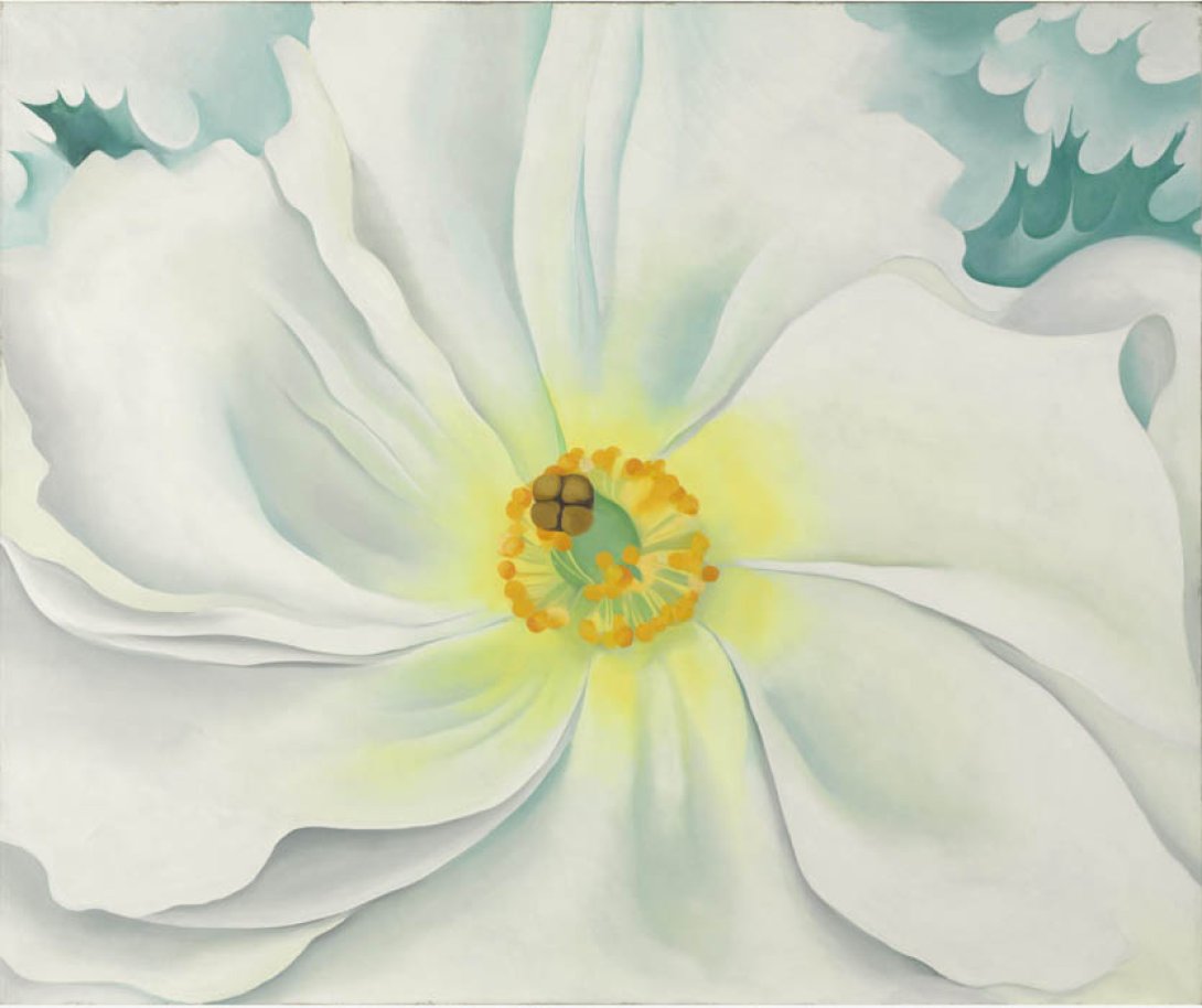Georgia O'Keeffe: "Flor blanca" (1929).