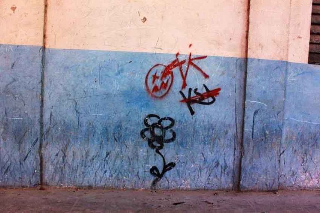 Grafitti de una flor. Foto: Francis Sánchez