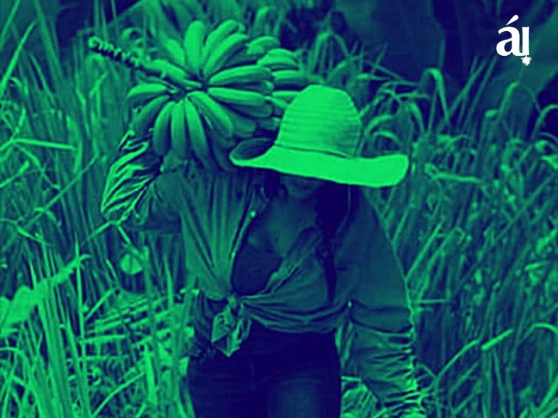 Mujer cargando racimo de plátanos. 