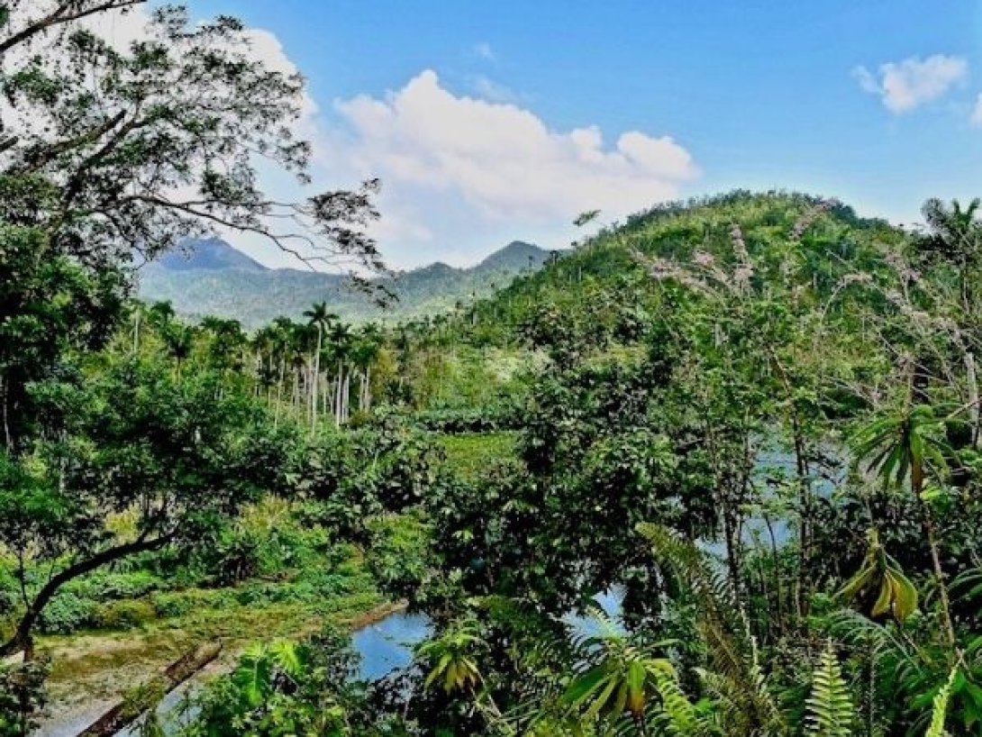 Bosque tropical del oriente de Cuba con vegetación densa y relieve montañoso.