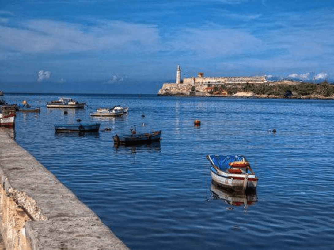 Botes en la bahía de La Habana. 