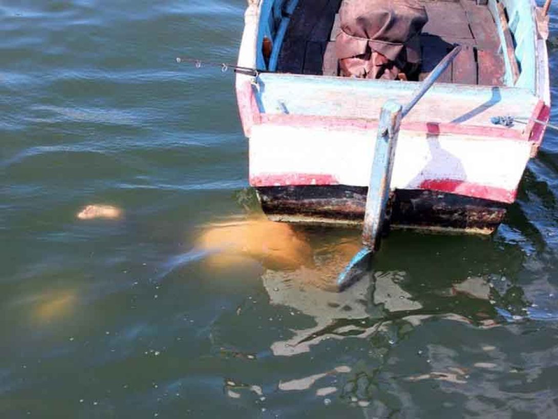 Hombre sumergido bajo bote. Foto: Francis Sánchez