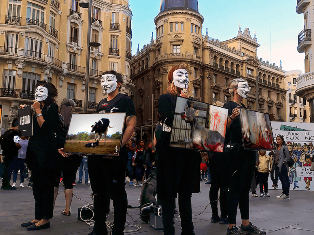 Activistas de Anonymous for the Voiceless mostrando imágenes de animales maltratados.