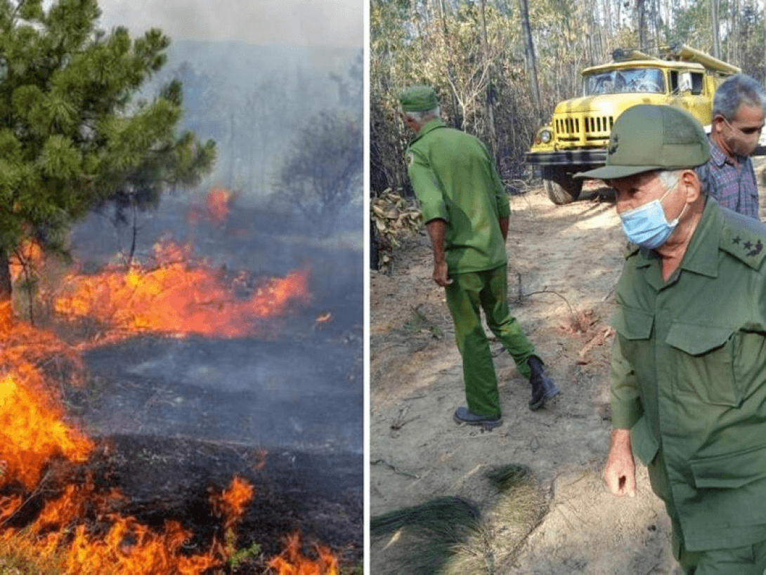 Incendio en Cuba arrasa con la biodiversidad al Occidente de la Isla. (Montaje).