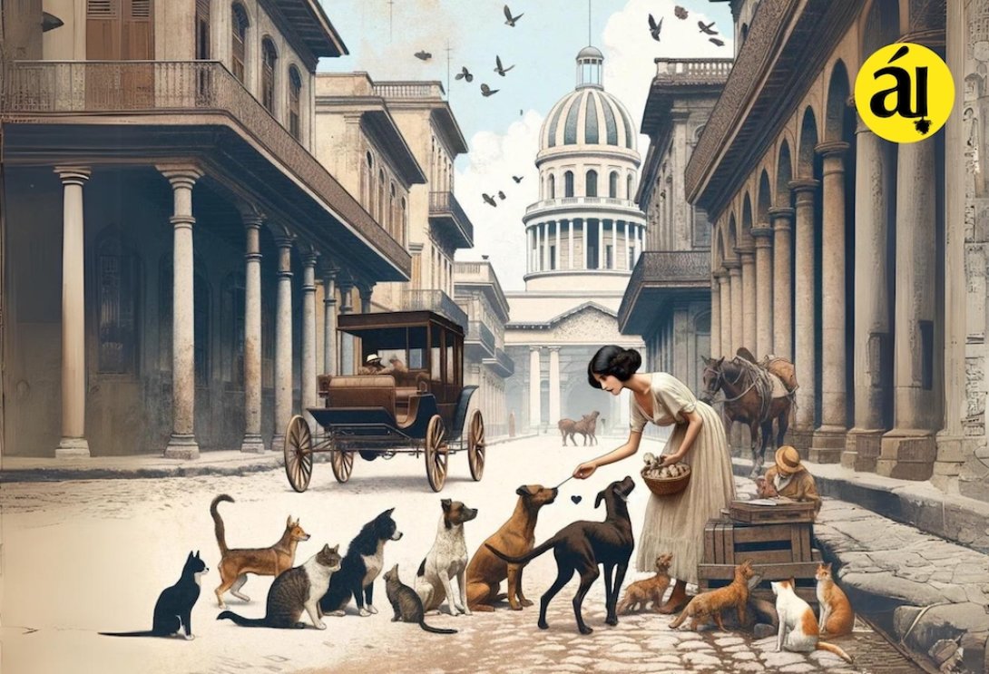 Mujer alimenta a los animales.