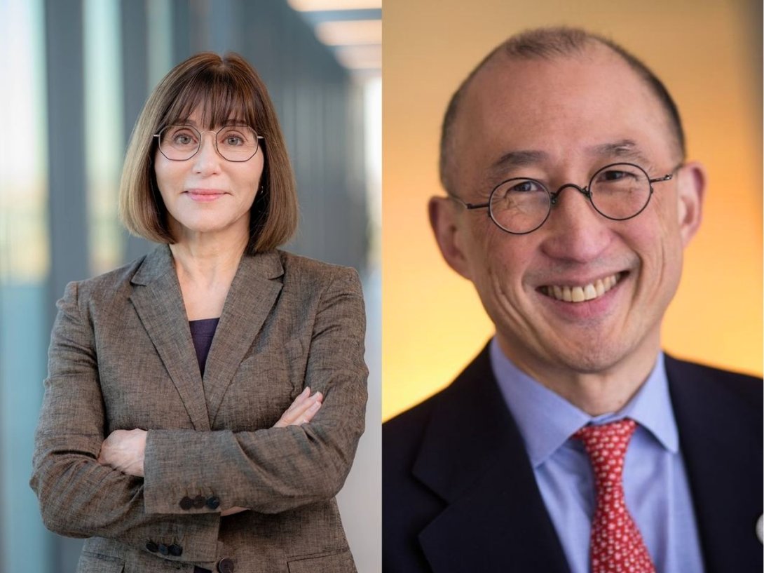 Kathleen Sutcliffe y Albert W. Wu.