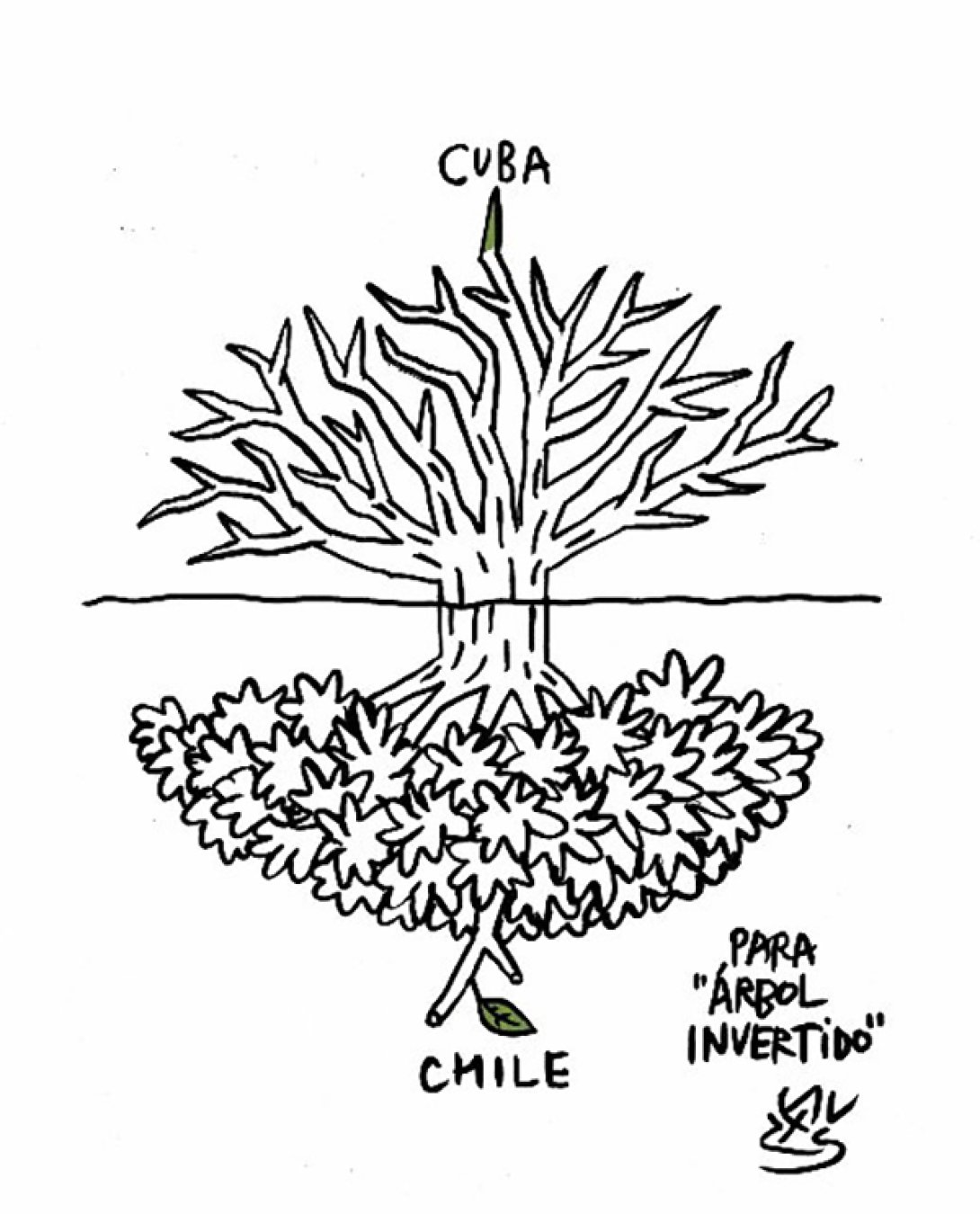 Dibujo de Alen Lauzán para ÁRBOL INVERTIDO.