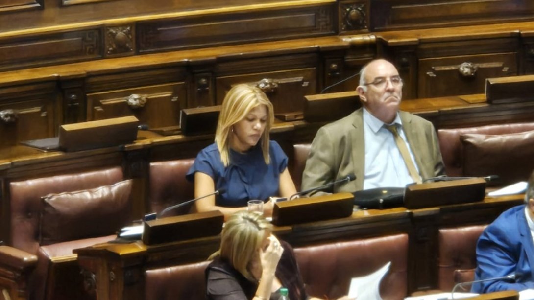 Leydis Aguilera, primera diputada cubana en el Parlamento de Uruguay.
