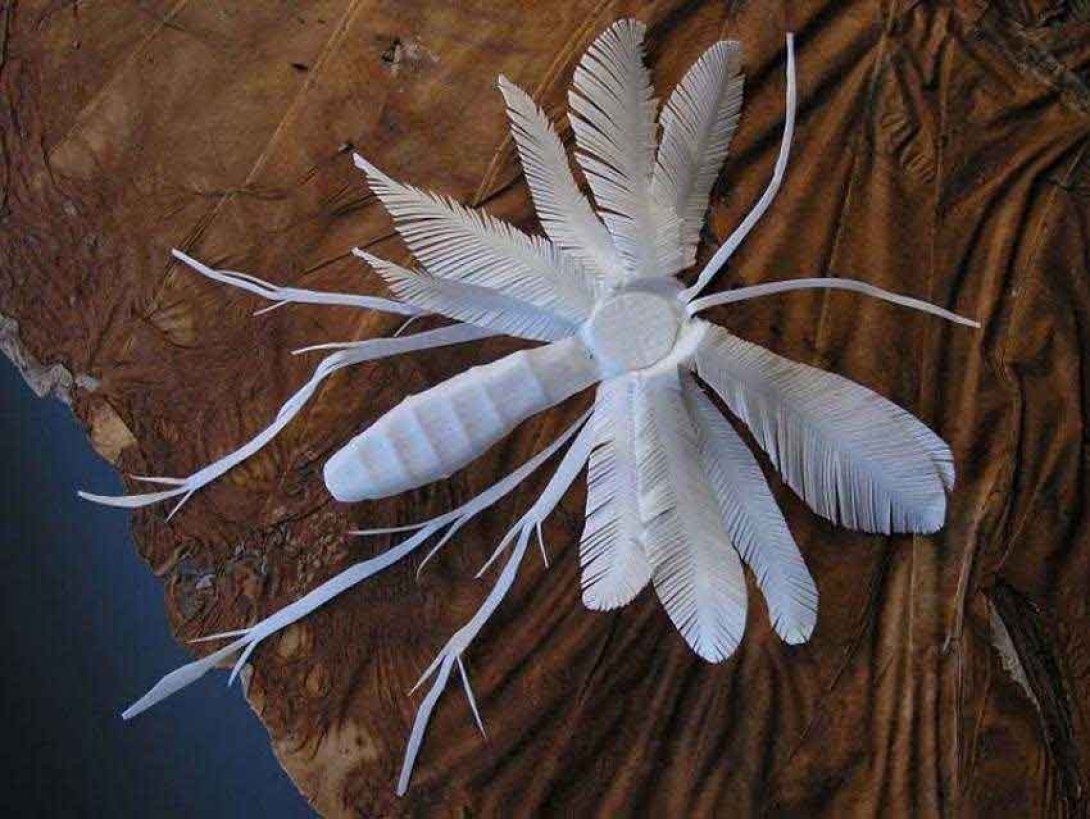 Libélula blanca (arte reciclado). Foto: Veronika Richterová