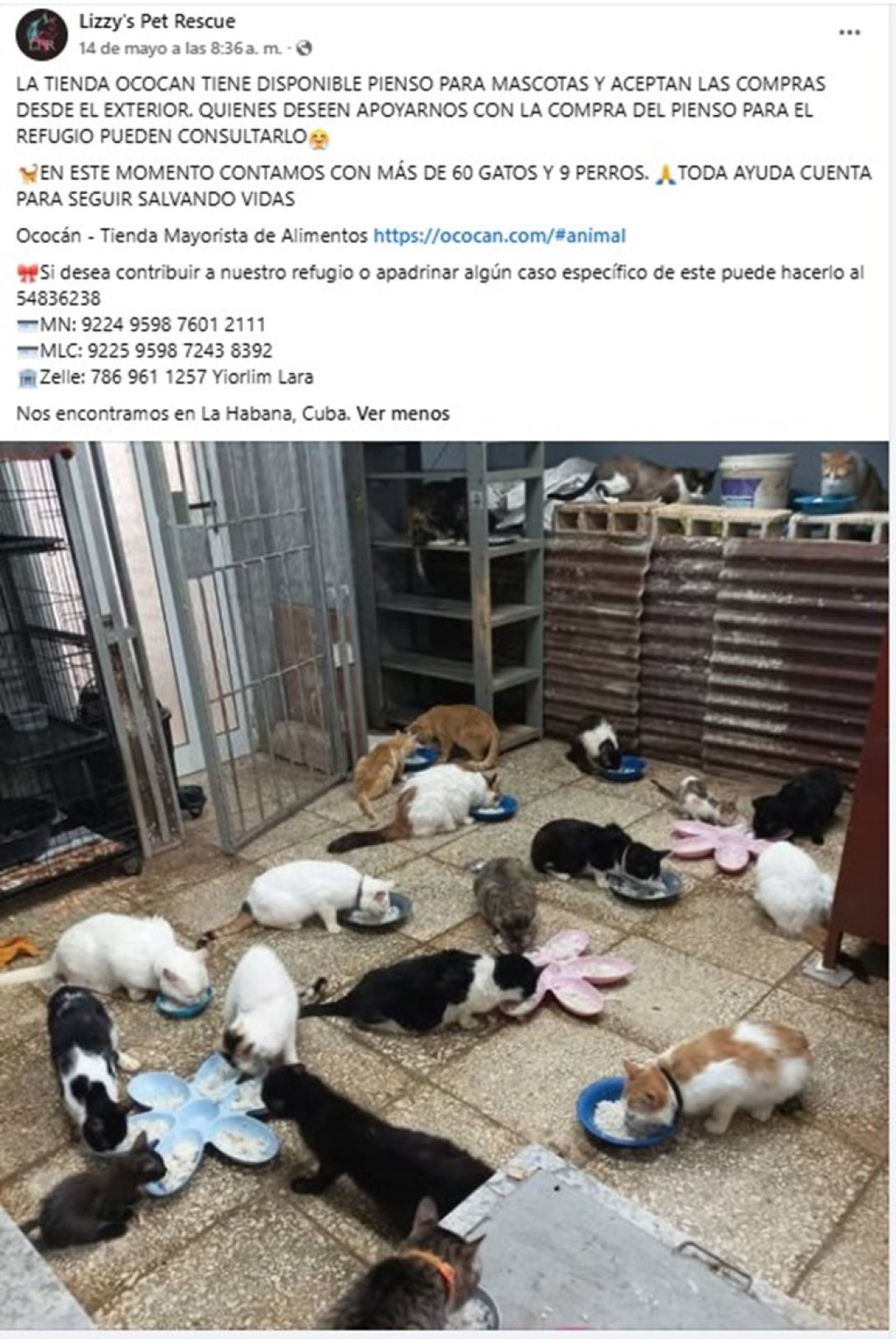 Solicitud de ayuda de protectora independiente cubana. Tomada del perfil de Facebook de Lizzy´s Pet Rescue (14 de mayo de 2026).