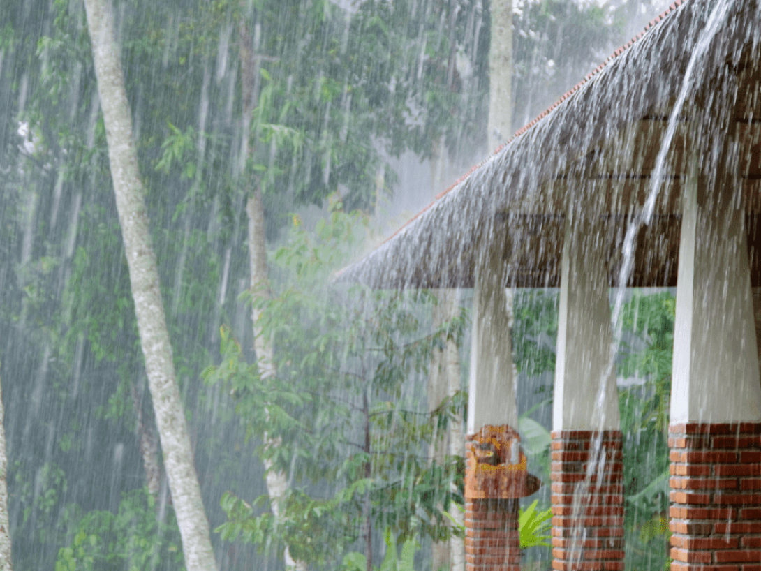 Lluvia cayendo sobre un techo y en el campo.