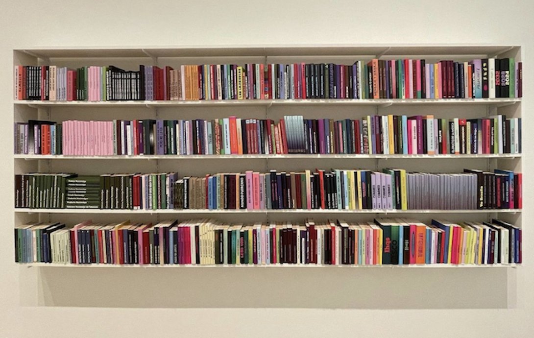 Biblioteca para Lomo Lectores, en su versión de Nueva York.