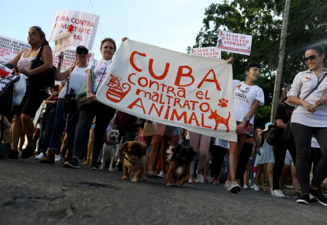 Manifestación de los protectores cubanos de animales en La Habana (7 de abril de 2019). Foto: Reuters.