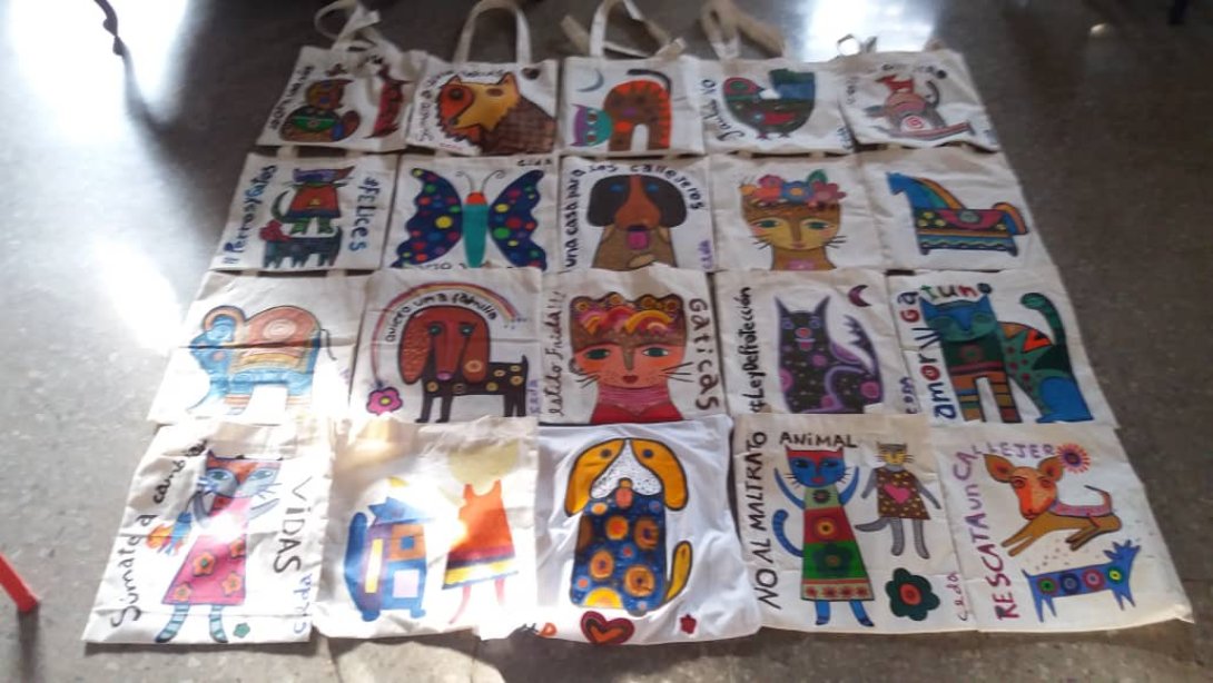 Bolsas pintadas por la artista Marnia Briones.