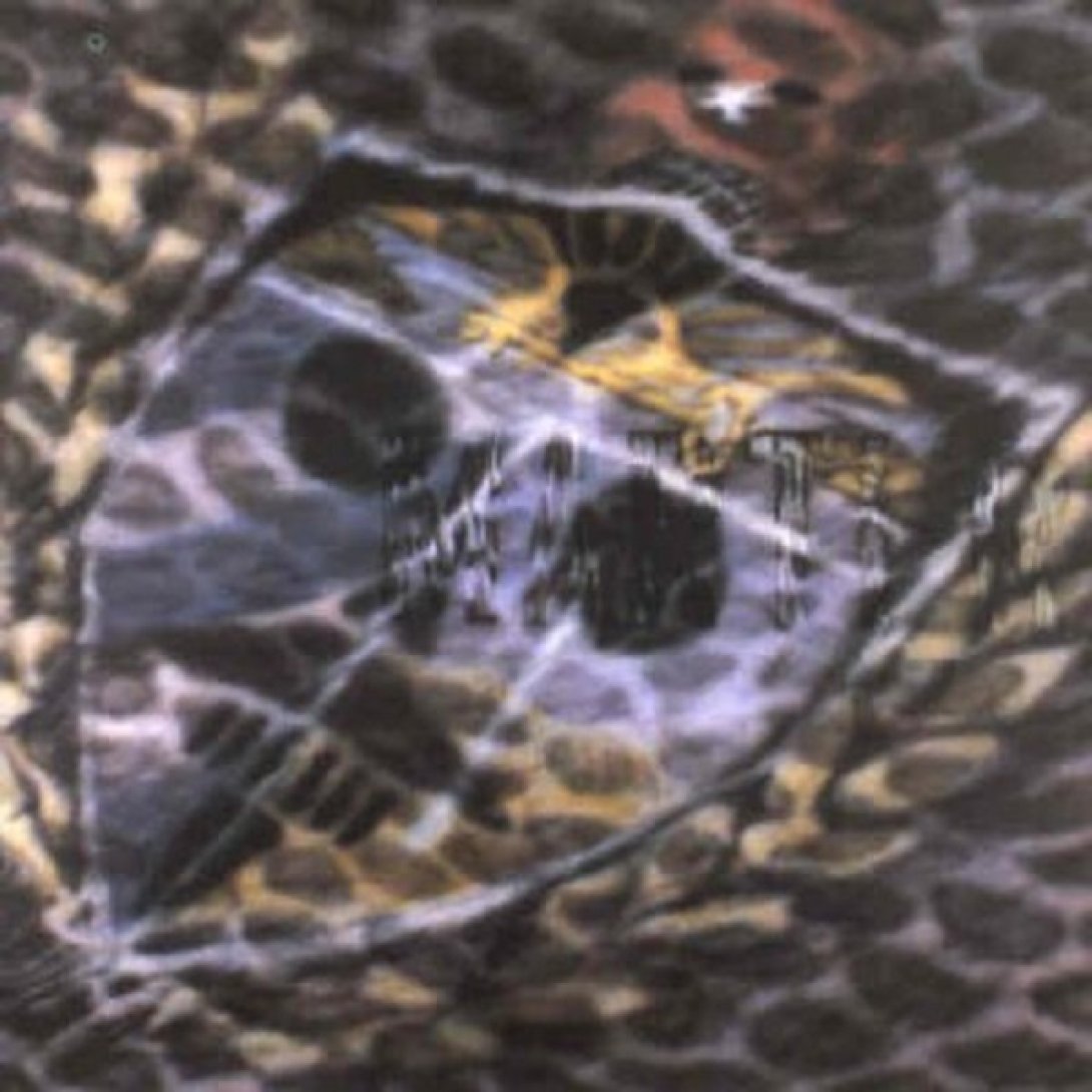 Obra: Arturo Cuenca