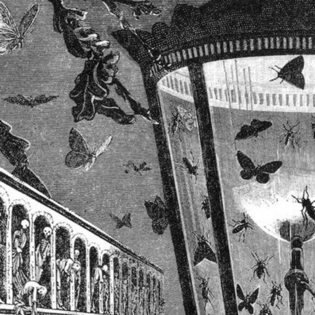 Collage surrealista de Max Ernst de 1929, de la serie La Femme 100 têtes, con figuras humanas y mariposas combinadas en una escena fantástica.