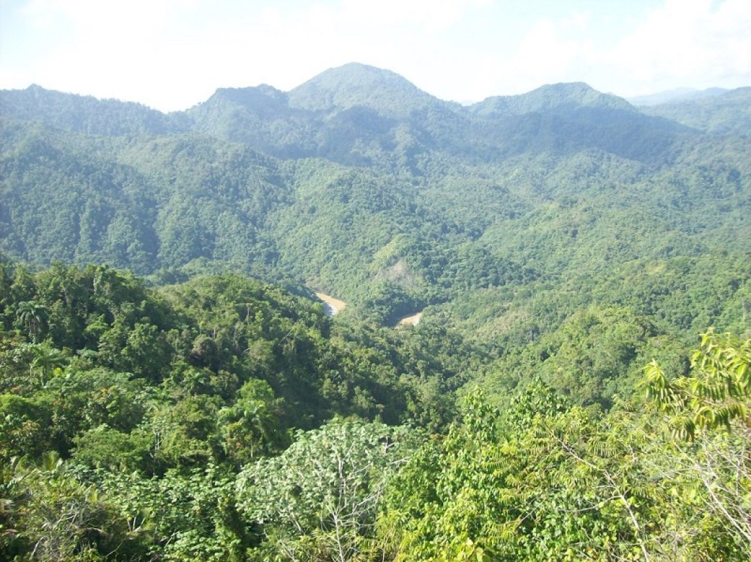 Los meandros del río Toa