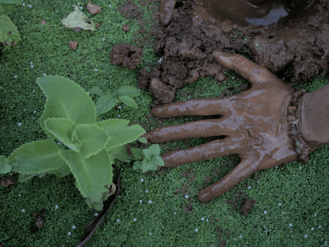 Mano enfangada sobre la yerba verde.