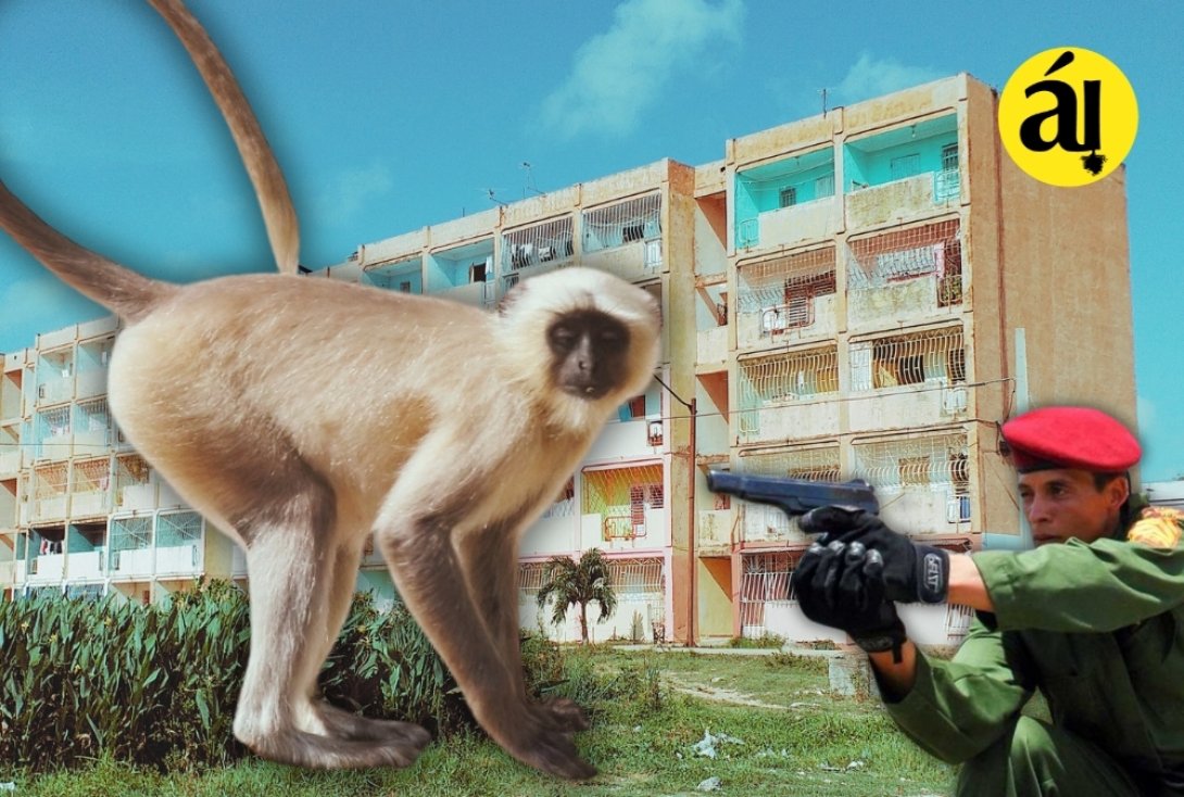 Ilustración sobre el mono que provocó alarma en Caibarién.