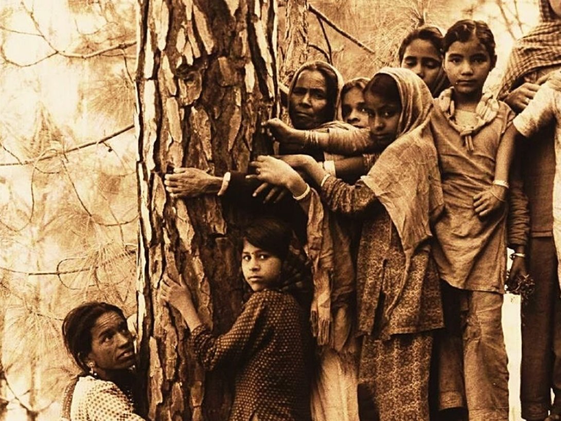Niñas abrazando un árbol. 