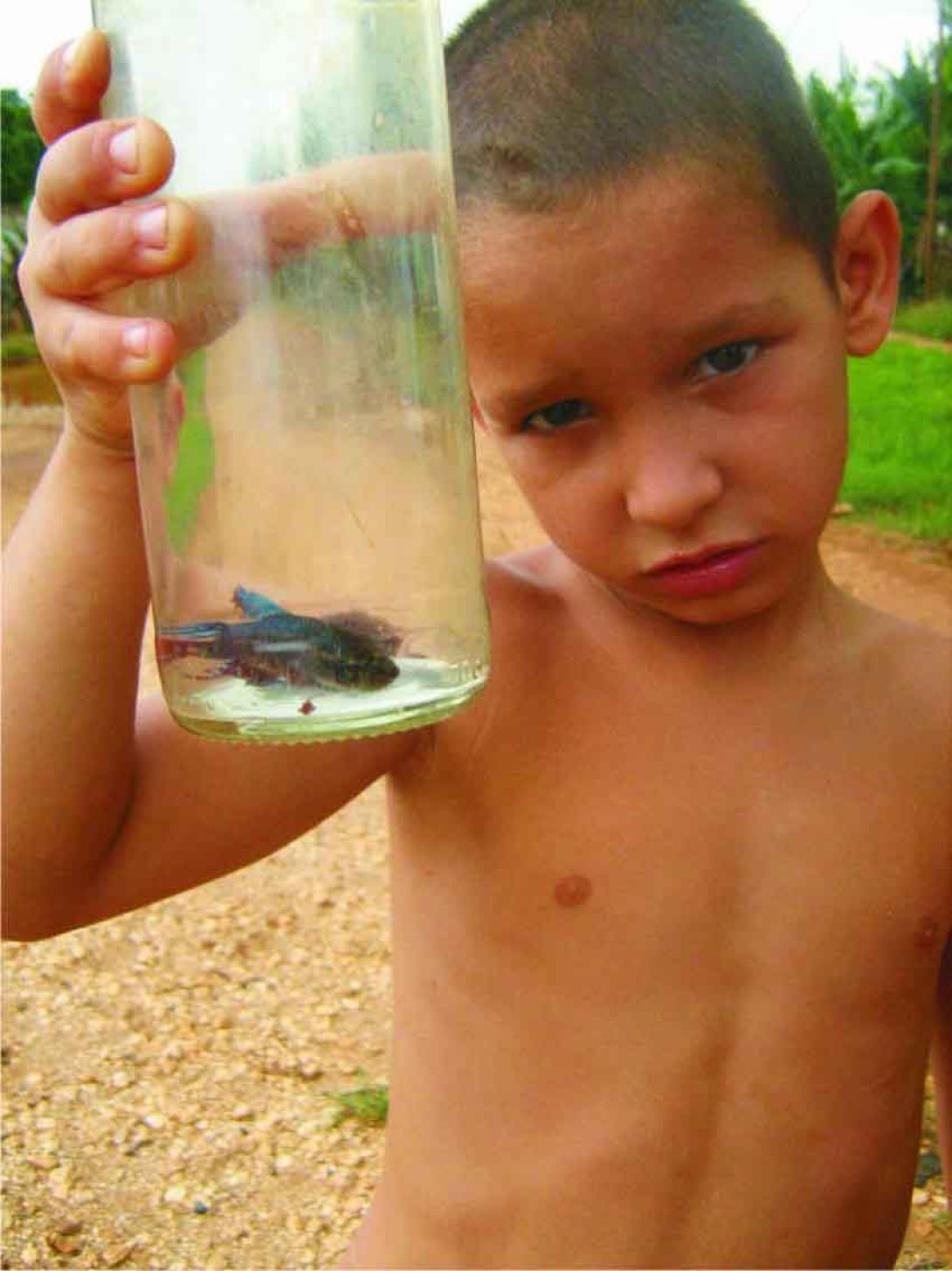Niño con pez peleador en la botella. Foto: Francis Sánchez