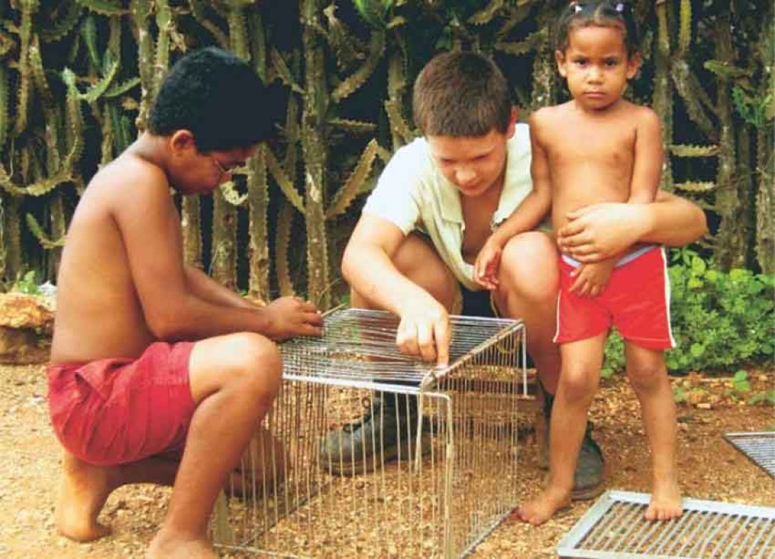 Niños construyen una jaula. Foto: Francis Sánchez