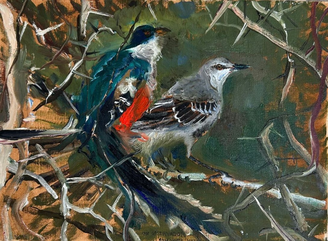 Dos sinsontes juntos, cuadro "Avistamiento en el marabú" de Richard Somonte.