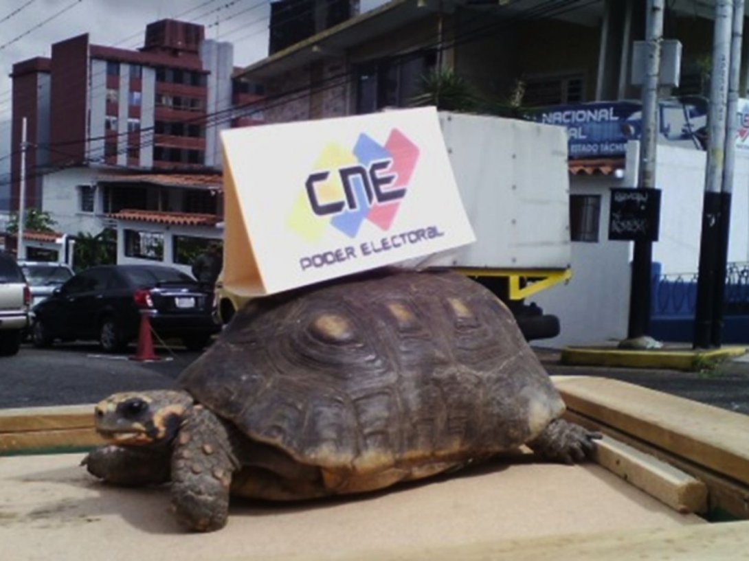 Sátira política de la "Operación Morrocoy" organizada por el chavismo en Venezuela.