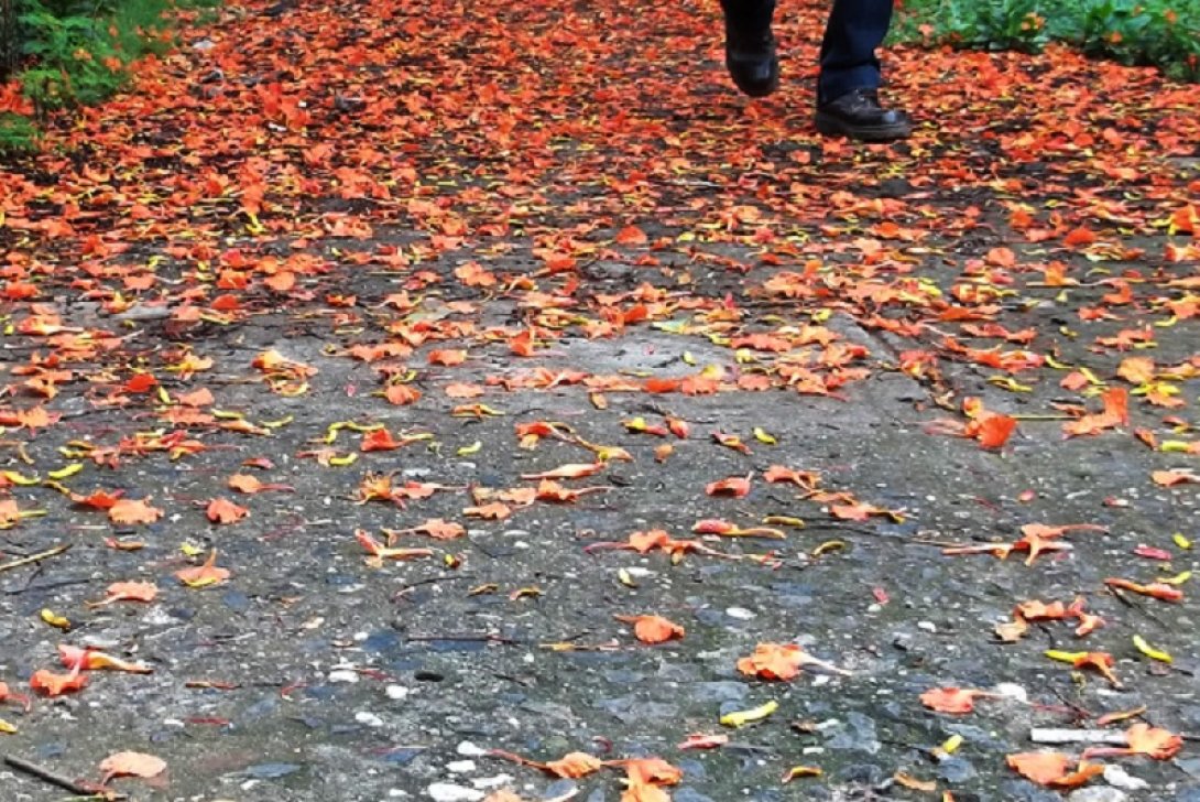 Otoño