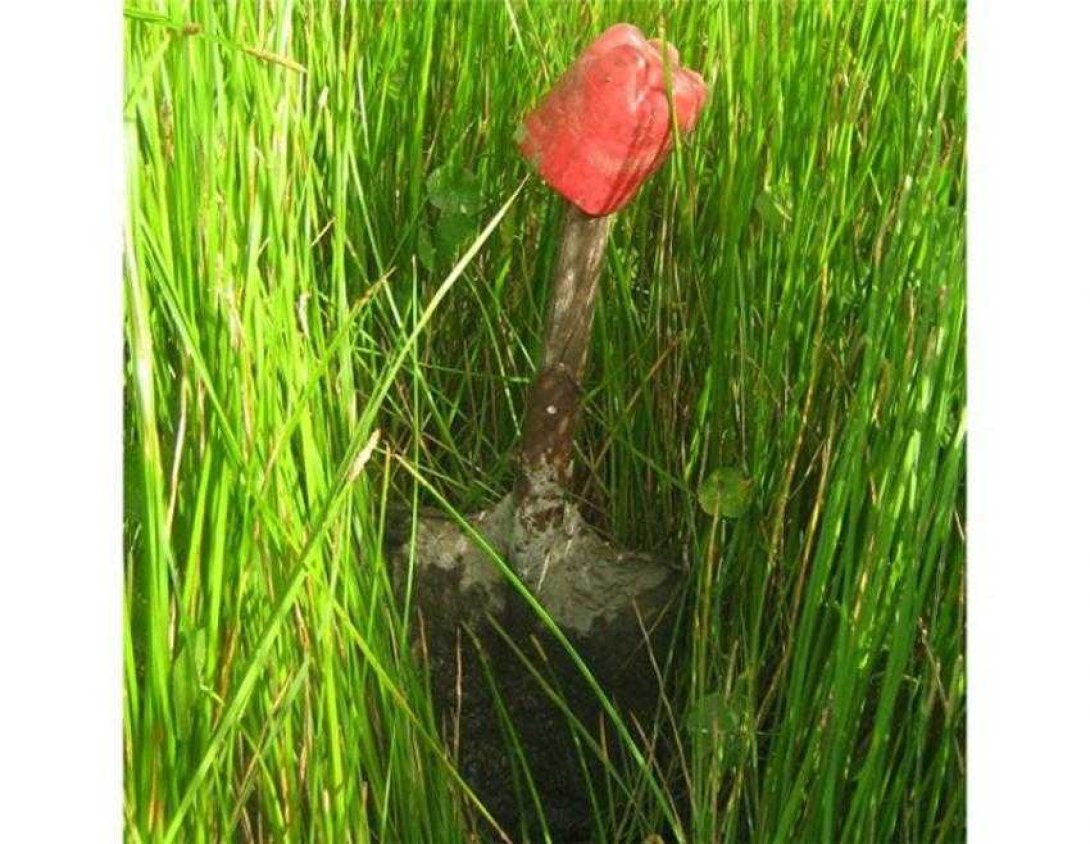 Pala enterrada entre la hierba. Foto: Francis Sánchez