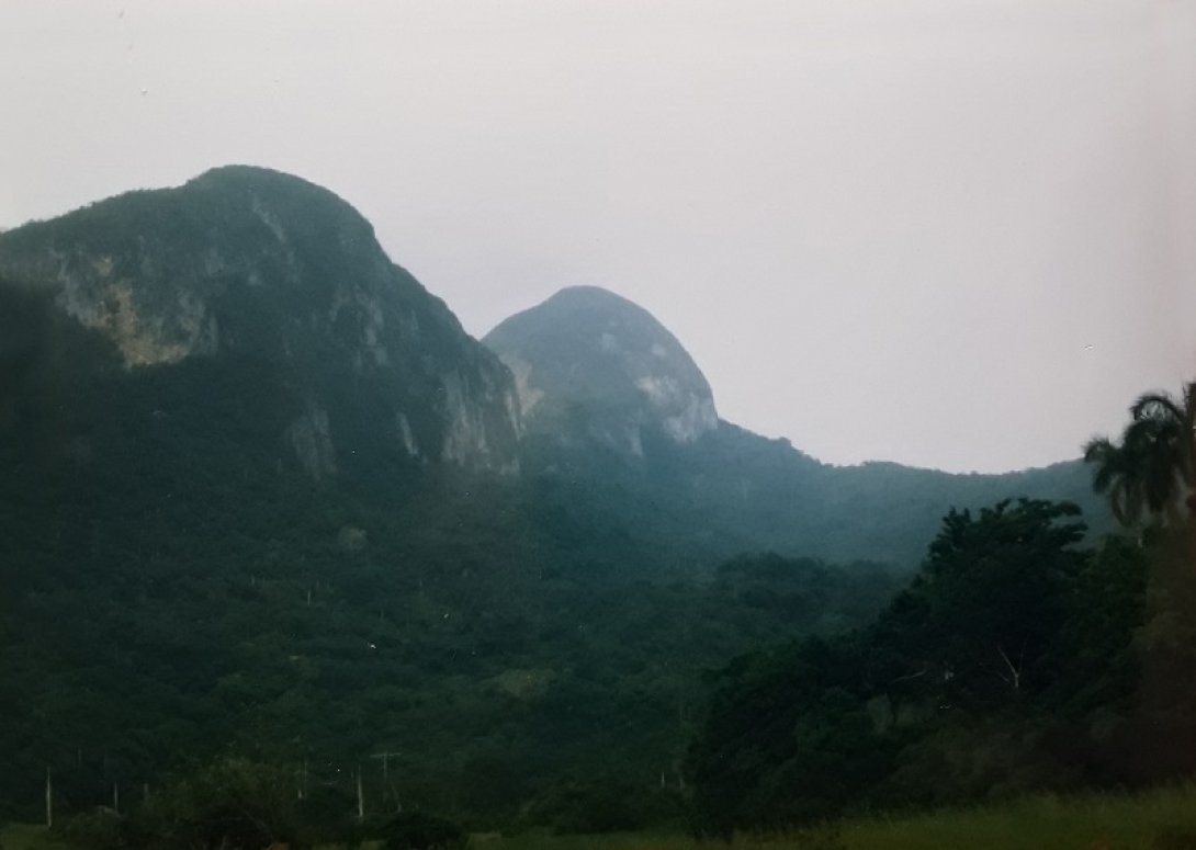 Pan de Guajaibón