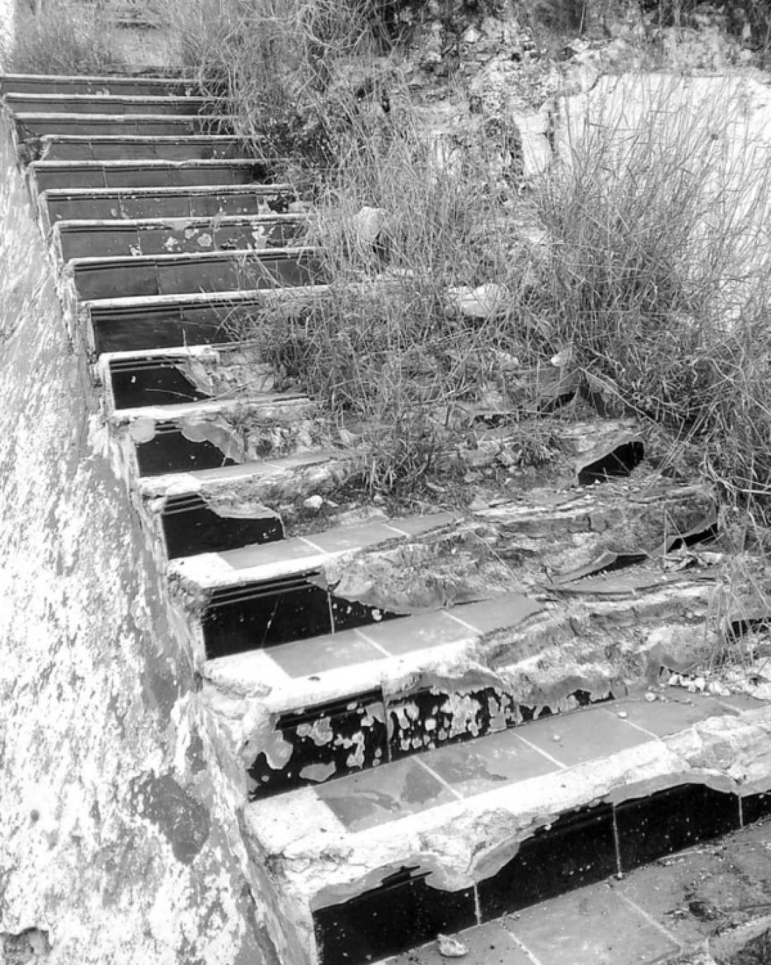 Escalera deteriorada, rodeada de arbustos.