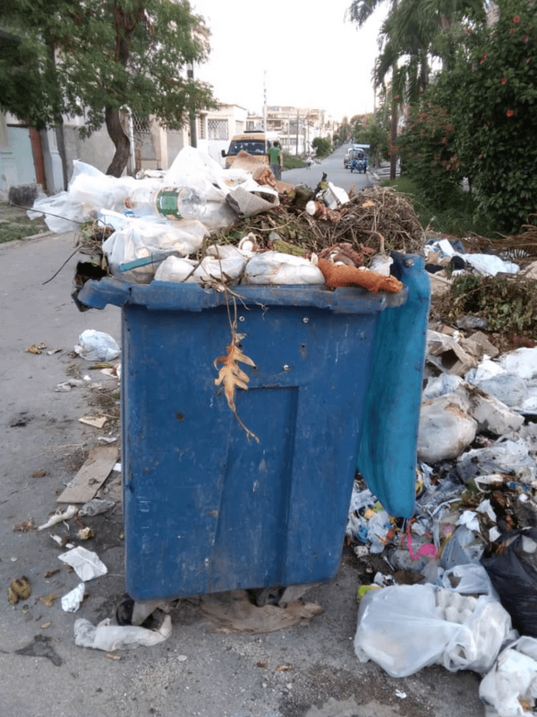 Contenedor de basura desbordado de desperdicios. 