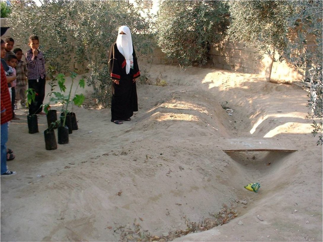 Greening the desert Project en Jordania.