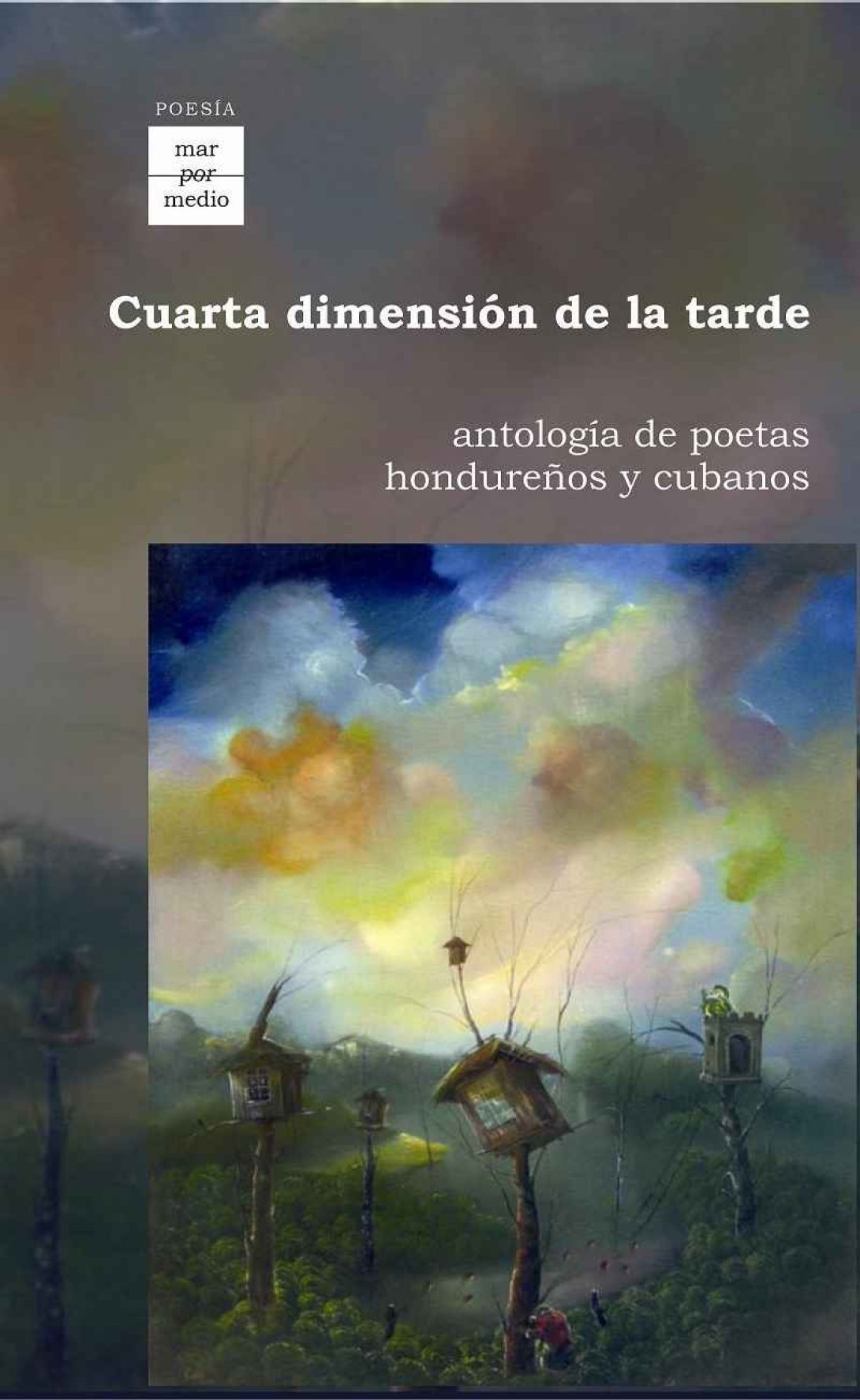 Cubierta del libro "Cuarta dimensión de la tarde" (Ediciones La luz y Editorial Nagg y Nell, 2011).