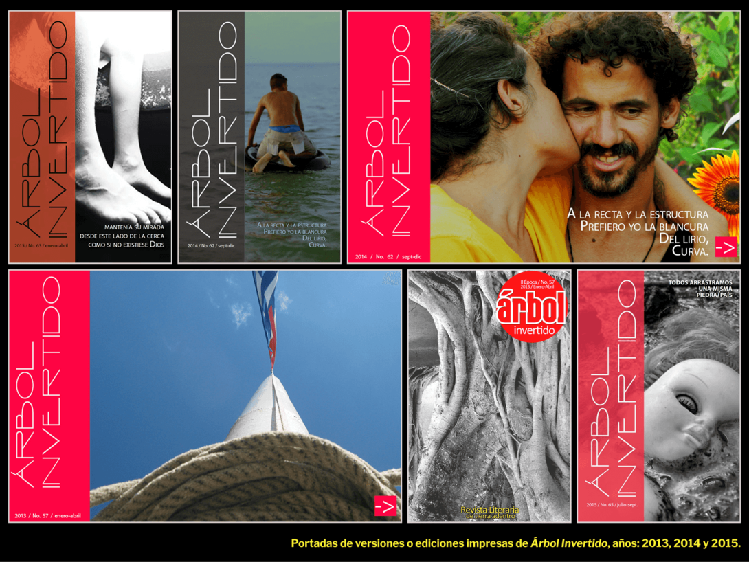 Portadas de Árbol Invertido, versiones o ediciones impresas, años: 2013, 2014, 2015.