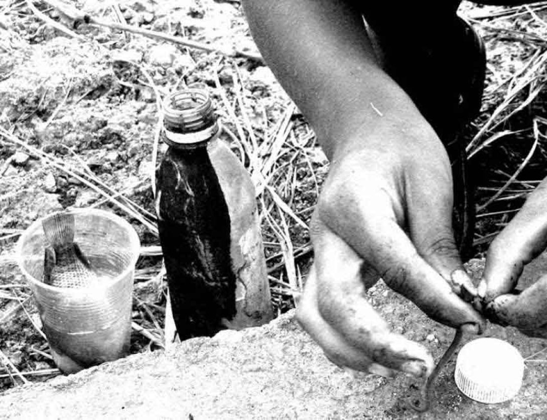 Manos infantiles preparan anzuelo. Foto: Francis Sánchez