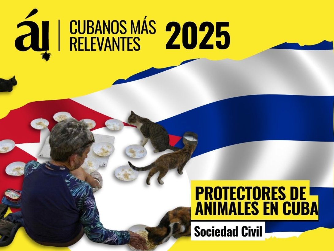 Protectores de animales en Cuba.