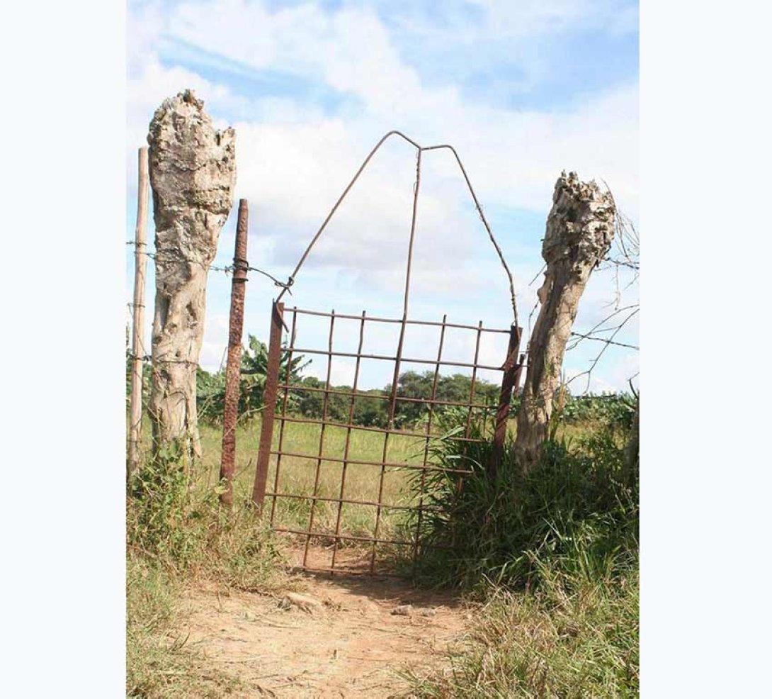 Puerta de cerca rural. Foto de Francis Sánchez