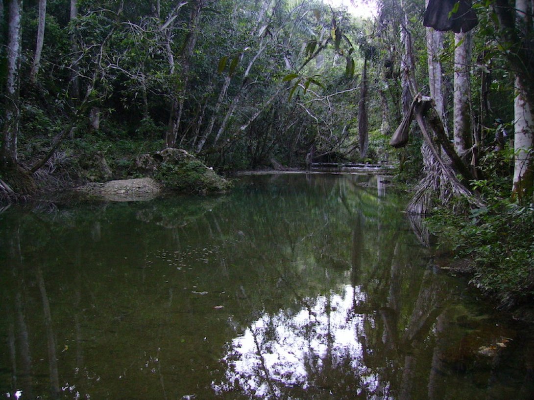 Remanso del  río Baños de Biajacas.