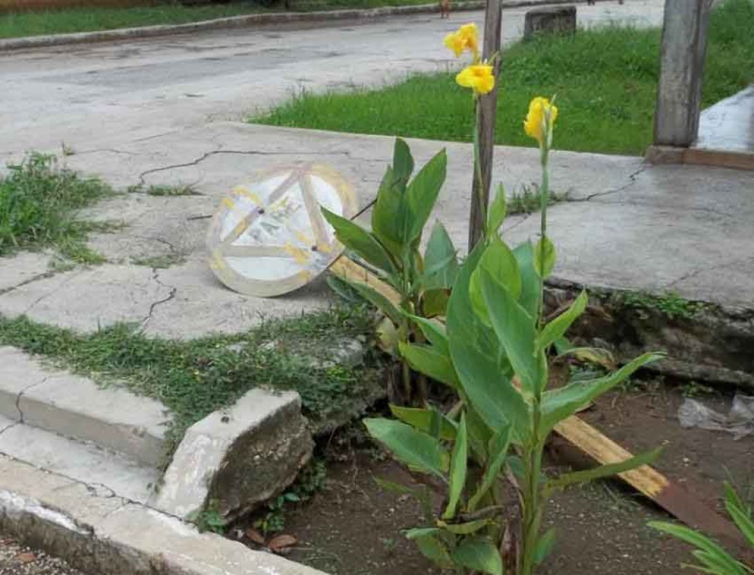 Señal de tránsito derrumbada. Foto: Francis Sánchez