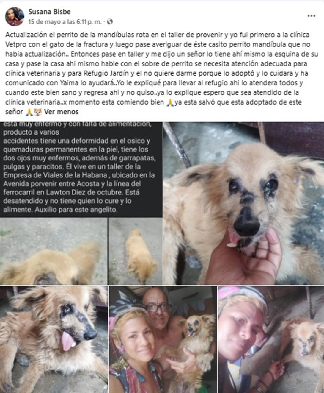 Post de la protectora cubana Susana Bisbé actualizando sobre el rescate de un perro. (15 de mayo de 2026). Tomado del perfil de Facebook de Susana Bisbé.