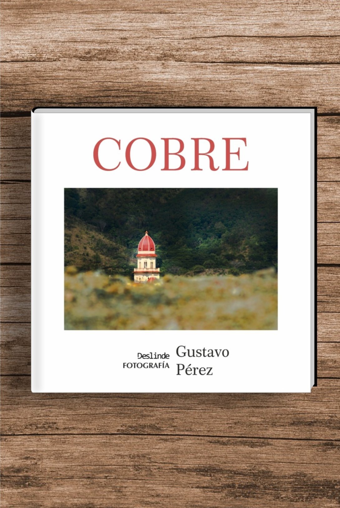 Libro Deslinde Cobre fotografía de Gustavo Pérez colección Arte