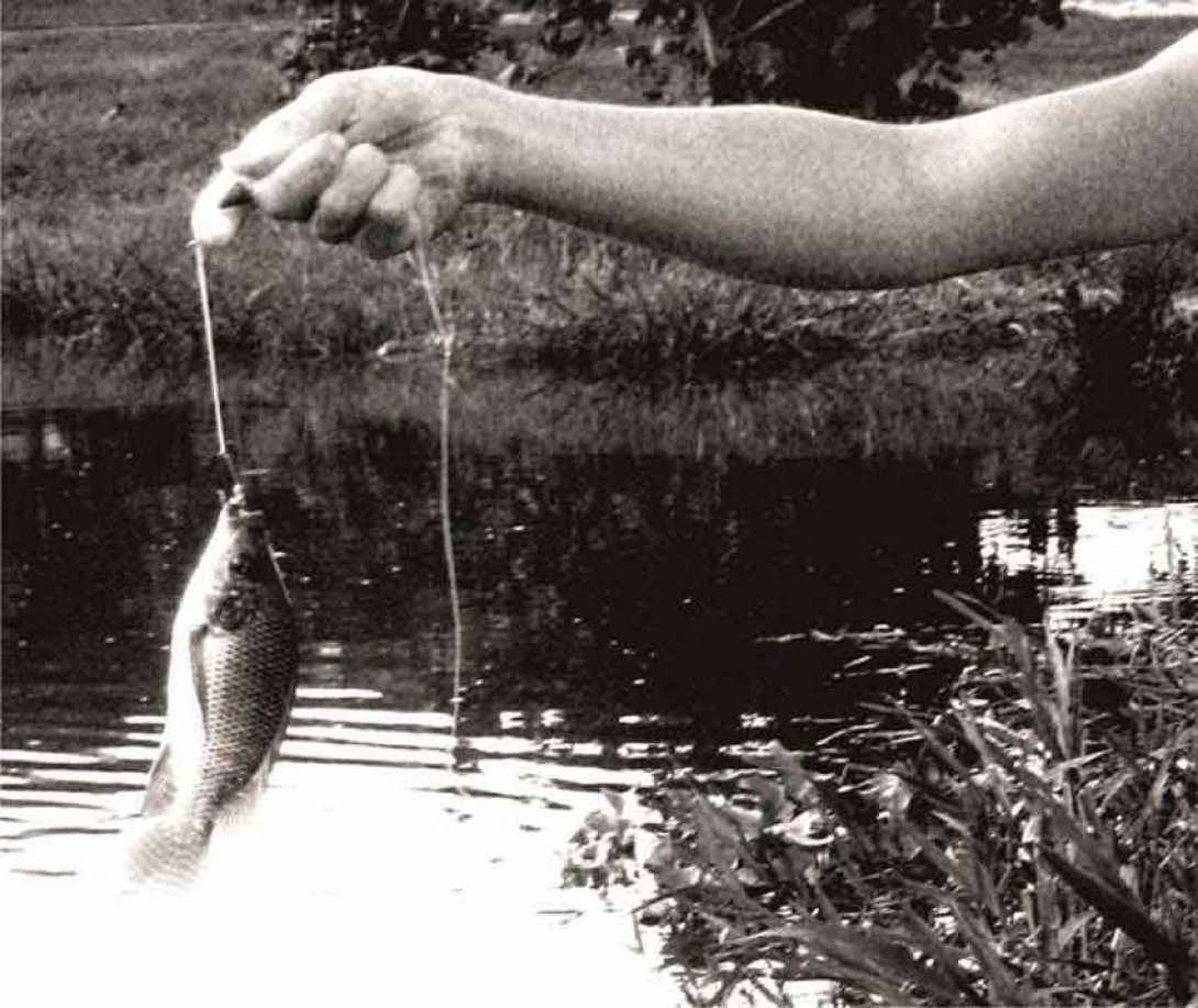 Pez en anzuelo. Foto: Francis Sánchez
