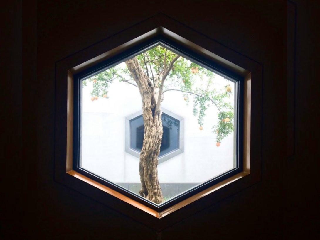 Ventana hexagonal geométrica a través de la cual se ve un árbol