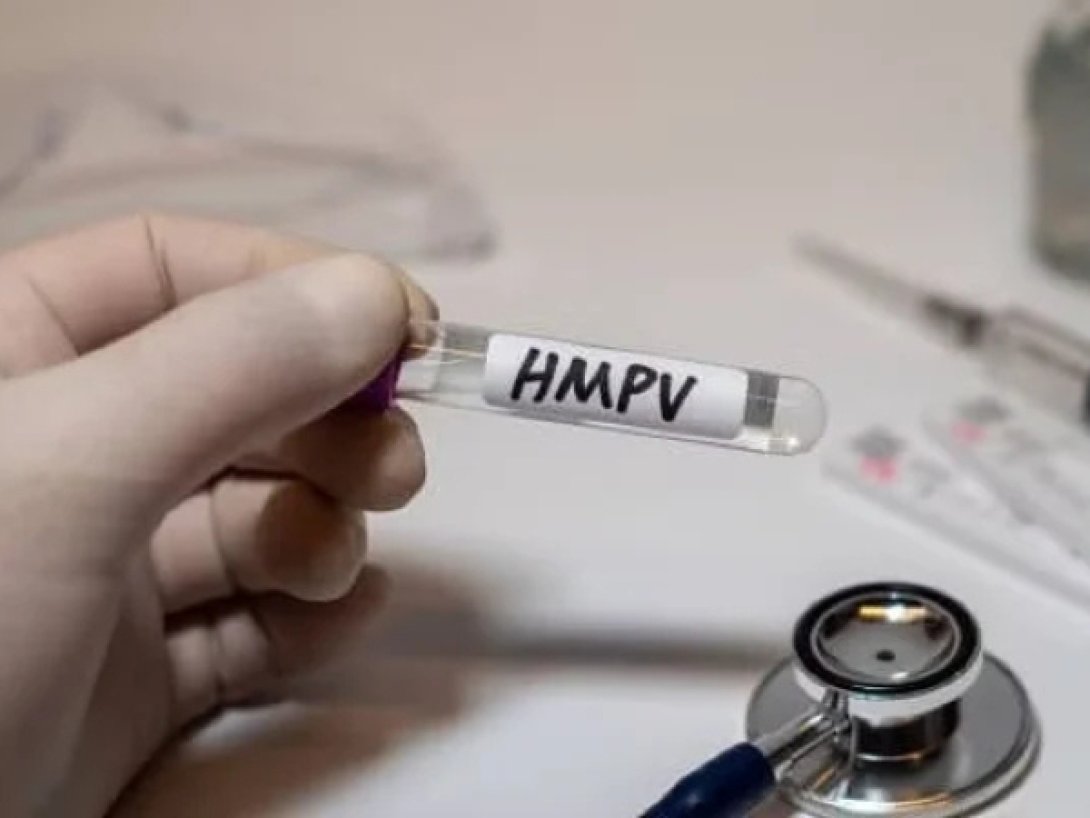 Virus hMPV, descubierto en 2001, pero se ha demostrado que afecta a los humanos desde los 50.